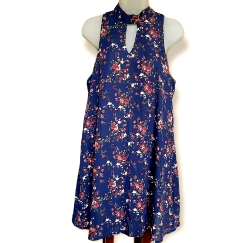 NWT Francesca's Cute Sleeveless Mini Dress